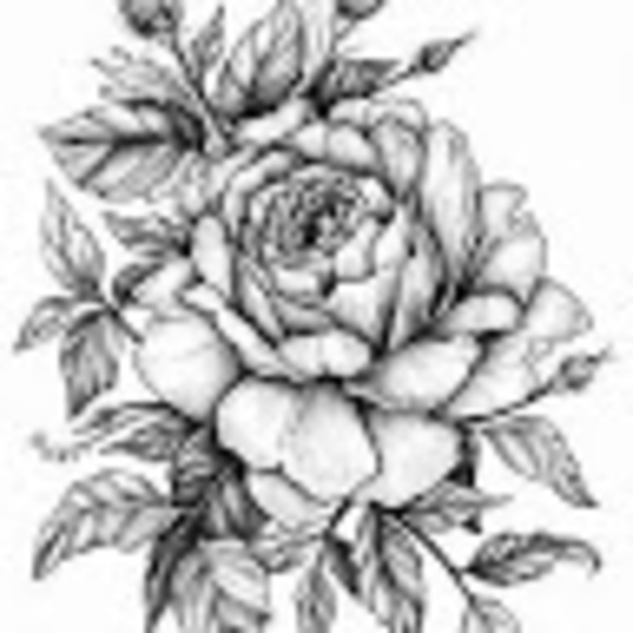 rosejason1233